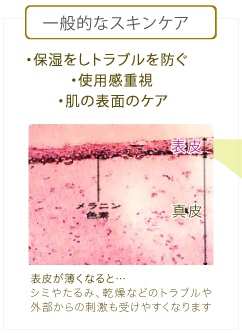 一般的なスキンケア