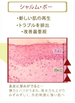 シャルム・ボーの肌再生ケア
