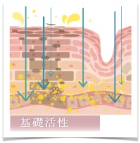 基礎活性（24時間肌に栄養と活力を与える）