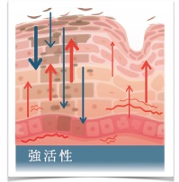 強活性（夜の集中ケア・肌の再生）